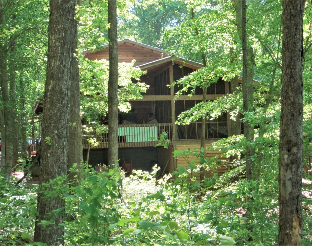 home nestled in summer woods